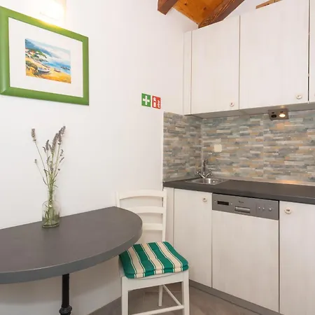 Daire Stone Nikola *