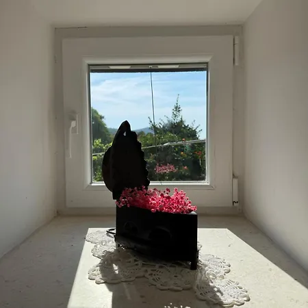 Stone Nikola Apartment *